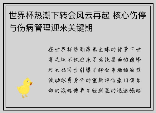 世界杯热潮下转会风云再起 核心伤停与伤病管理迎来关键期 世界杯热潮下转会风云再起 核心伤停与伤病管理迎来关键期